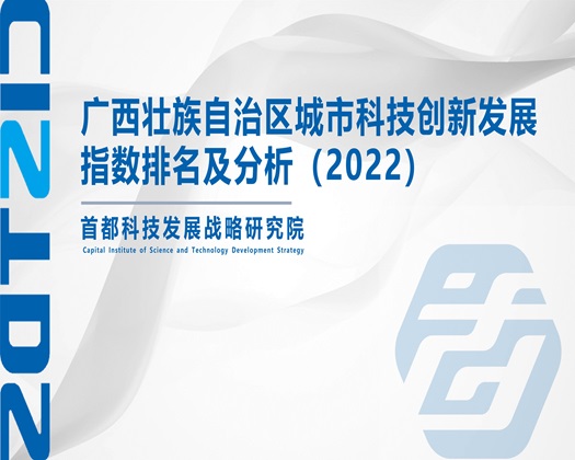 艹b在线【成果发布】广西壮族自治区城市科技创新发展指数排名及分析（2022）